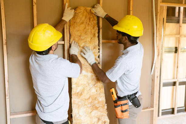 Trusted Mount Vernon, MD Insulation Services Experts